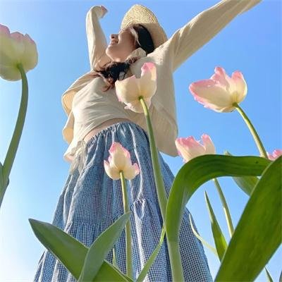 翼神世音 多元变奏曲